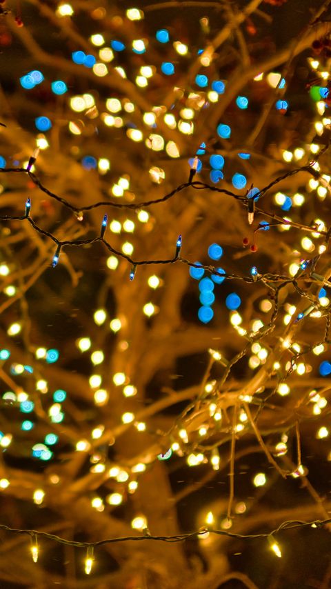 Download wallpaper 2160x3840 garland, lights, branches, bokeh, blur samsung galaxy s4, s5, note, sony xperia z, z1, z2, z3, htc one, lenovo vibe hd background