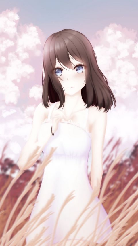 Download wallpaper 2160x3840 girl, glance, dress, field, anime, art samsung galaxy s4, s5, note, sony xperia z, z1, z2, z3, htc one, lenovo vibe hd background