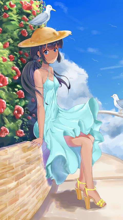 Download wallpaper 2160x3840 girl, hat, dress, bird, anime samsung galaxy s4, s5, note, sony xperia z, z1, z2, z3, htc one, lenovo vibe hd background