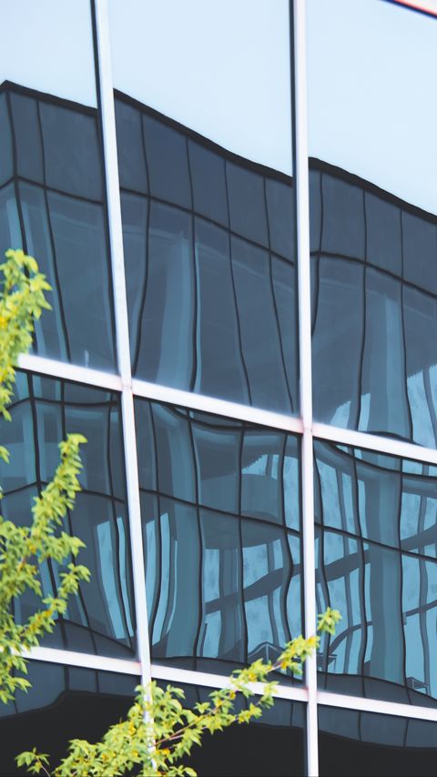 Download wallpaper 2160x3840 glass, reflection, distortion, branches samsung galaxy s4, s5, note, sony xperia z, z1, z2, z3, htc one, lenovo vibe hd background