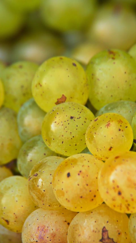 Download wallpaper 2160x3840 grapes, fruits, macro samsung galaxy s4, s5, note, sony xperia z, z1, z2, z3, htc one, lenovo vibe hd background