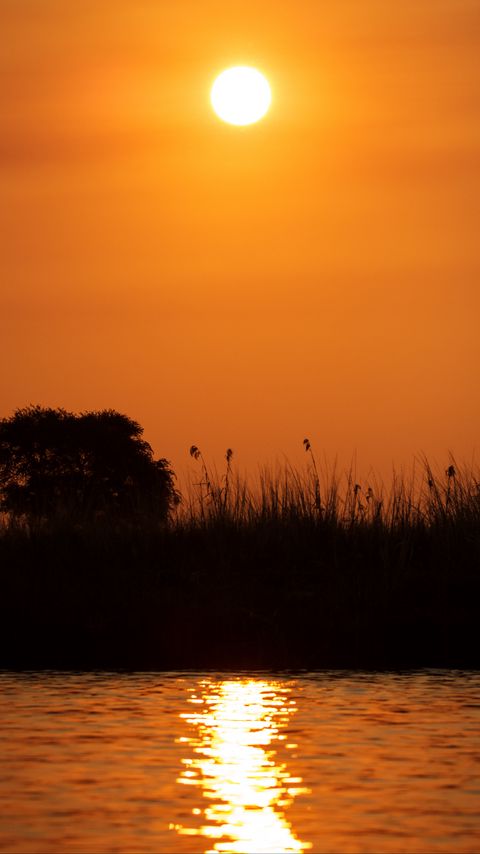Download wallpaper 2160x3840 grass, bush, river, sunset, dark samsung galaxy s4, s5, note, sony xperia z, z1, z2, z3, htc one, lenovo vibe hd background