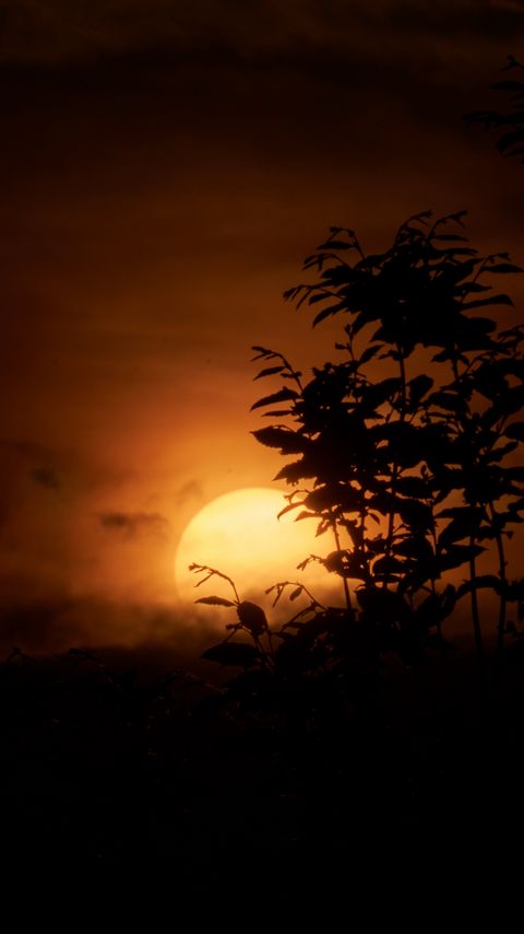 Download wallpaper 2160x3840 grass, silhouettes, sunset, nature, dark samsung galaxy s4, s5, note, sony xperia z, z1, z2, z3, htc one, lenovo vibe hd background