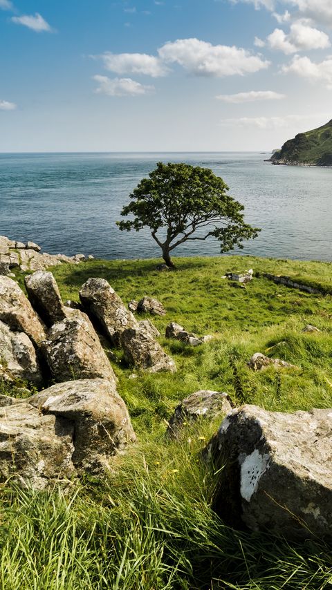 Download wallpaper 2160x3840 grass, stones, tree, sea, nature samsung galaxy s4, s5, note, sony xperia z, z1, z2, z3, htc one, lenovo vibe hd background