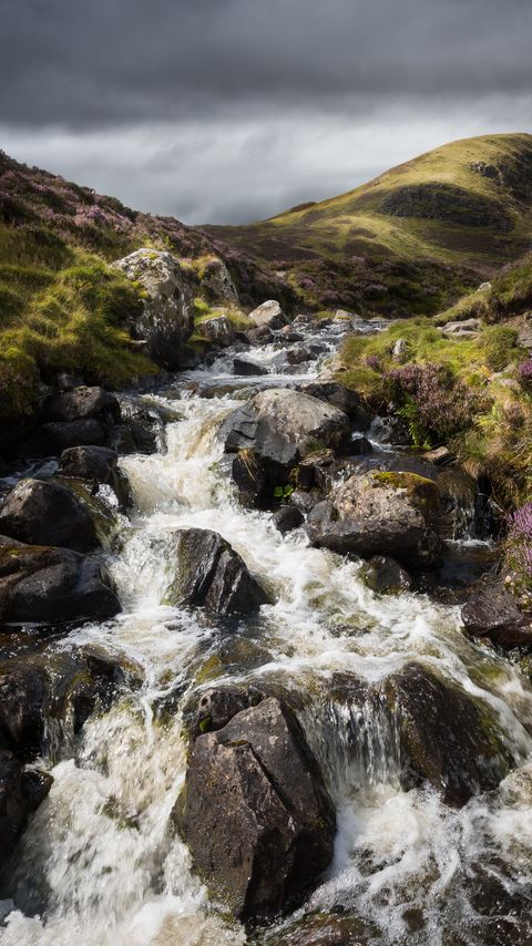 Download wallpaper 2160x3840 hill, flowers, river, stones, nature samsung galaxy s4, s5, note, sony xperia z, z1, z2, z3, htc one, lenovo vibe hd background
