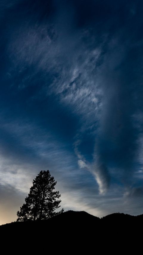 Download wallpaper 2160x3840 hills, tree, silhouettes, cloud samsung galaxy s4, s5, note, sony xperia z, z1, z2, z3, htc one, lenovo vibe hd background