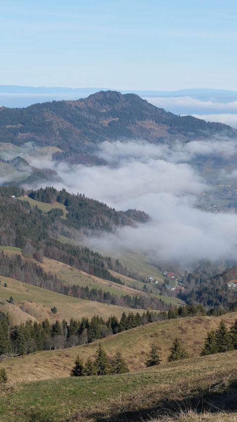 Download wallpaper 2160x3840 hills, trees, fog samsung galaxy s4, s5, note, sony xperia z, z1, z2, z3, htc one, lenovo vibe hd background