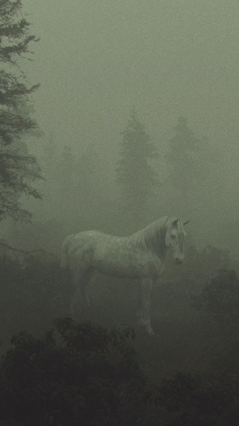 Download wallpaper 2160x3840 horse, trees, fog, art samsung galaxy s4, s5, note, sony xperia z, z1, z2, z3, htc one, lenovo vibe hd background