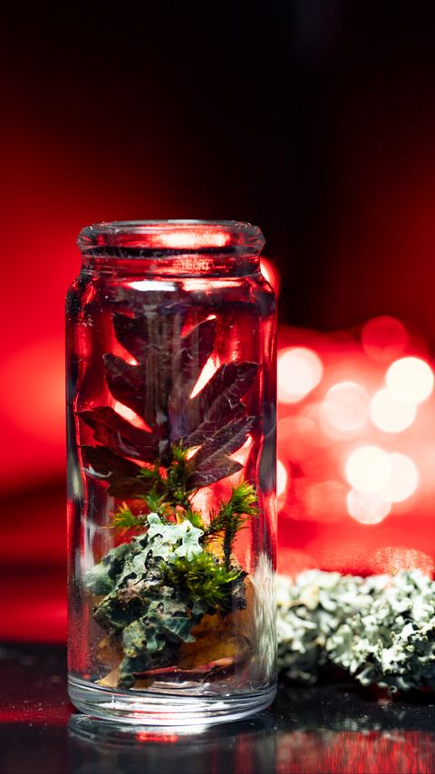 Download wallpaper 2160x3840 jar, moss, leaf, glass samsung galaxy s4, s5, note, sony xperia z, z1, z2, z3, htc one, lenovo vibe hd background
