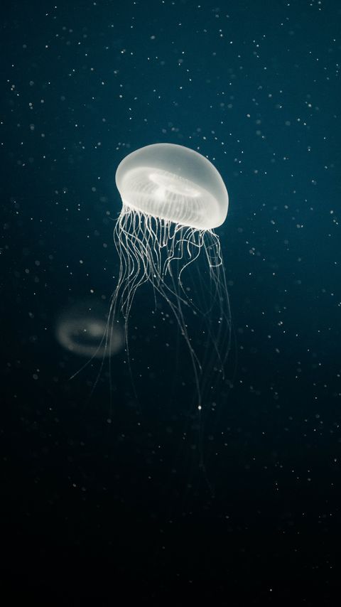 Download wallpaper 2160x3840 jellyfish, tentacles, underwater, dots samsung galaxy s4, s5, note, sony xperia z, z1, z2, z3, htc one, lenovo vibe hd background
