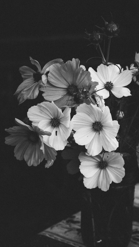Download wallpaper 2160x3840 kosmeya, flowers, bouquet, black and white samsung galaxy s4, s5, note, sony xperia z, z1, z2, z3, htc one, lenovo vibe hd background