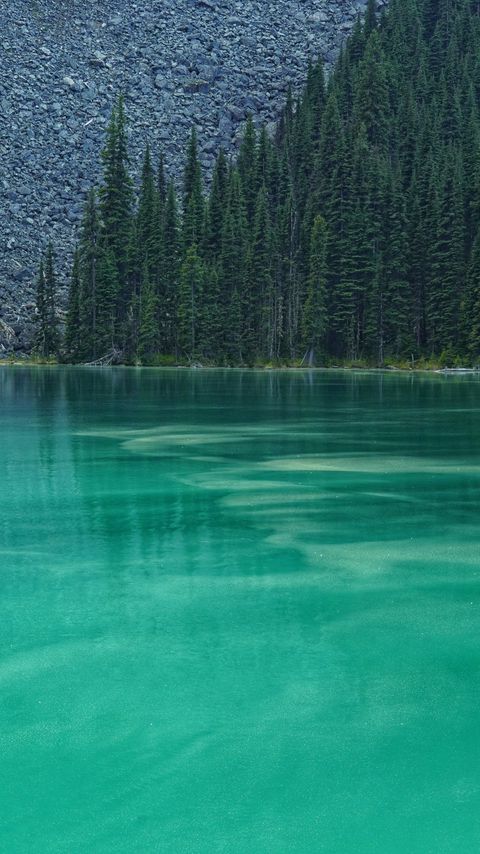 Download wallpaper 2160x3840 lake, forest, trees, stones samsung galaxy s4, s5, note, sony xperia z, z1, z2, z3, htc one, lenovo vibe hd background