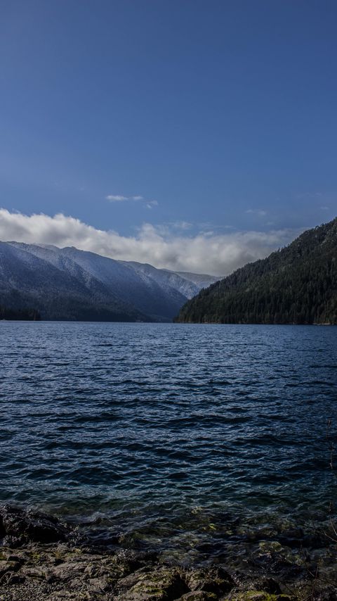 Download wallpaper 2160x3840 lake, mountains, forest, clouds samsung galaxy s4, s5, note, sony xperia z, z1, z2, z3, htc one, lenovo vibe hd background