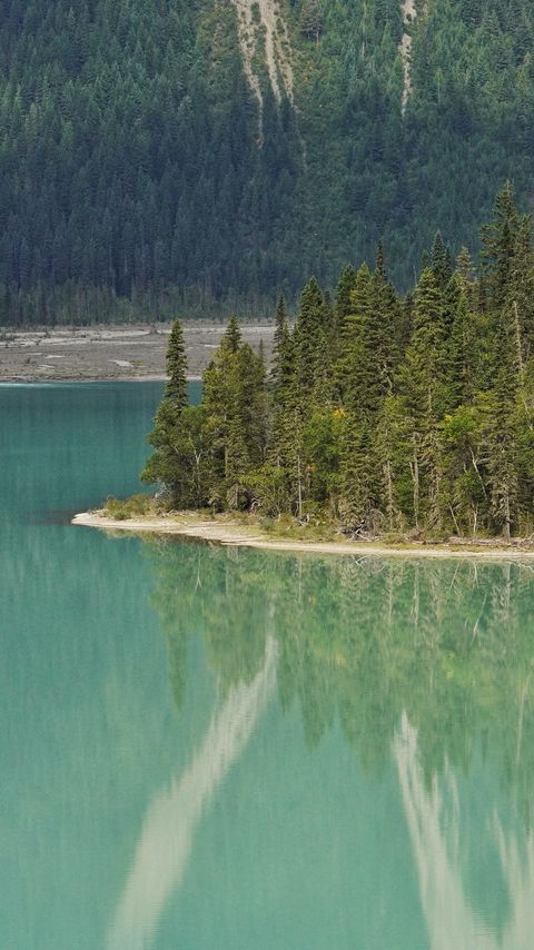 Download wallpaper 2160x3840 lake, trees, forest, island samsung galaxy s4, s5, note, sony xperia z, z1, z2, z3, htc one, lenovo vibe hd background