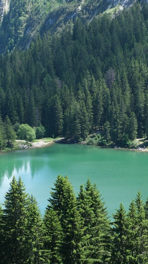 Download wallpaper 2160x3840 lake, trees, mountain, nature samsung galaxy s4, s5, note, sony xperia z, z1, z2, z3, htc one, lenovo vibe hd background
