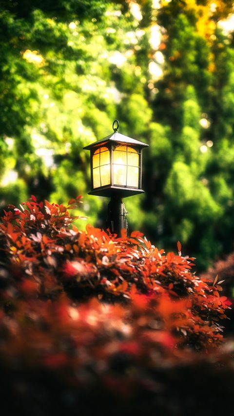 Download wallpaper 2160x3840 lantern, leaves, trees samsung galaxy s4, s5, note, sony xperia z, z1, z2, z3, htc one, lenovo vibe hd background