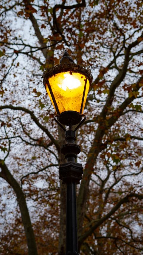 Download wallpaper 2160x3840 lantern, light, trees, autumn samsung galaxy s4, s5, note, sony xperia z, z1, z2, z3, htc one, lenovo vibe hd background