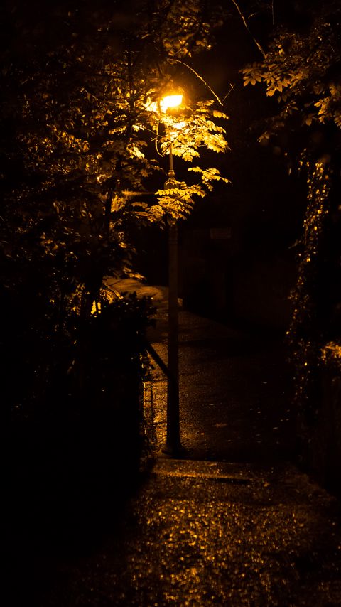 Download wallpaper 2160x3840 lantern, trees, night samsung galaxy s4, s5, note, sony xperia z, z1, z2, z3, htc one, lenovo vibe hd background