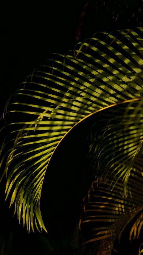 Download wallpaper 2160x3840 leaves, branches, shadows, light samsung galaxy s4, s5, note, sony xperia z, z1, z2, z3, htc one, lenovo vibe hd background
