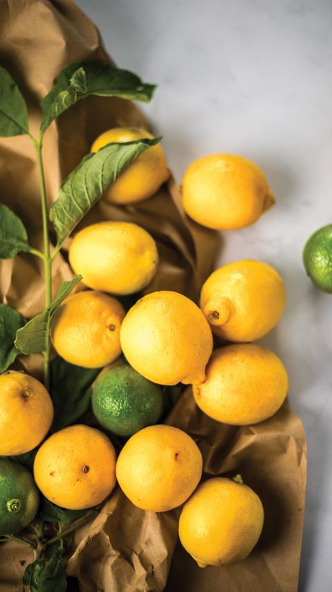 Download wallpaper 2160x3840 lemons, limes, paper samsung galaxy s4, s5, note, sony xperia z, z1, z2, z3, htc one, lenovo vibe hd background