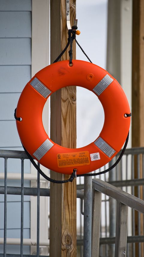 Download wallpaper 2160x3840 lifebuoy, circle, tree, orange samsung galaxy s4, s5, note, sony xperia z, z1, z2, z3, htc one, lenovo vibe hd background