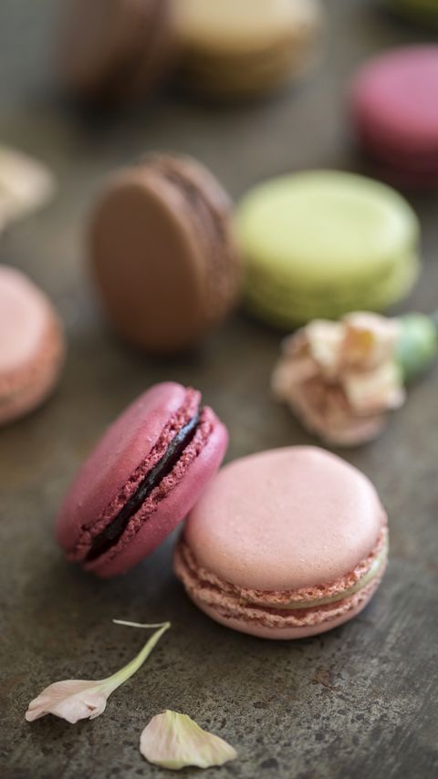 Download wallpaper 2160x3840 macarons, dessert, petals, food samsung galaxy s4, s5, note, sony xperia z, z1, z2, z3, htc one, lenovo vibe hd background