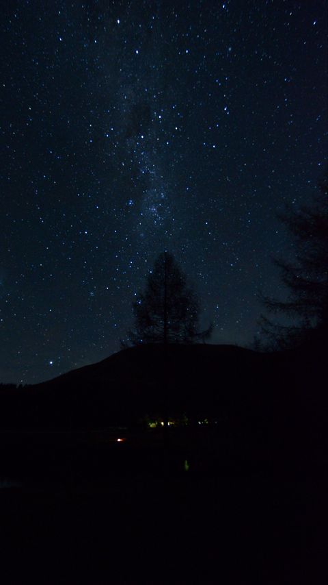 Download wallpaper 2160x3840 milky, way, night, tree, dark samsung galaxy s4, s5, note, sony xperia z, z1, z2, z3, htc one, lenovo vibe hd background