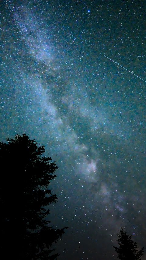 Download wallpaper 2160x3840 milky way, sky, tree, night samsung galaxy s4, s5, note, sony xperia z, z1, z2, z3, htc one, lenovo vibe hd background