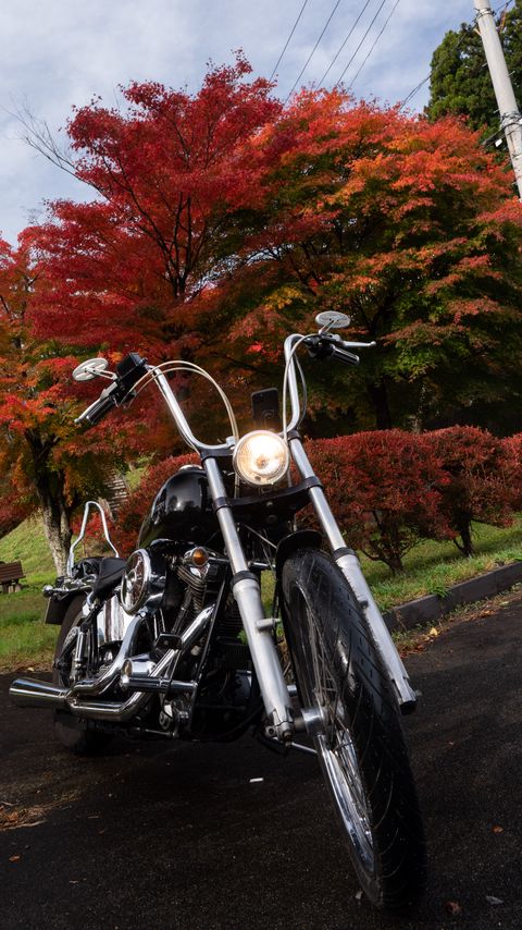 Download wallpaper 2160x3840 motorcycle, bike, black, trees, autumn, moto samsung galaxy s4, s5, note, sony xperia z, z1, z2, z3, htc one, lenovo vibe hd background