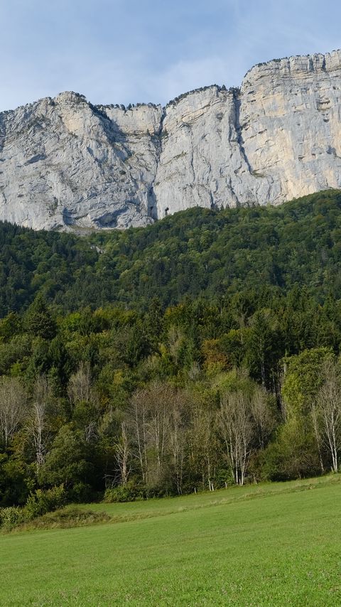 Download wallpaper 2160x3840 mountain, rock, trees, lawn, slope samsung galaxy s4, s5, note, sony xperia z, z1, z2, z3, htc one, lenovo vibe hd background