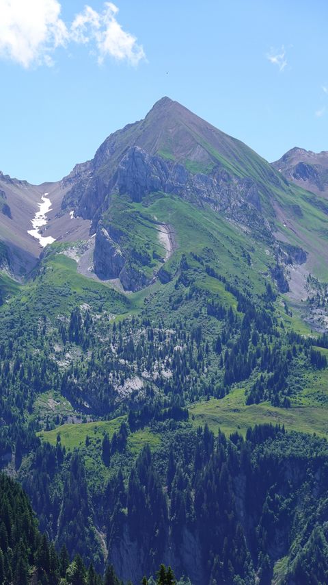 Download wallpaper 2160x3840 mountain, slope, forest, trees, landscape samsung galaxy s4, s5, note, sony xperia z, z1, z2, z3, htc one, lenovo vibe hd background