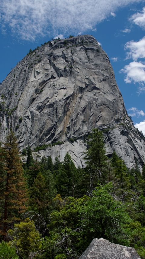 Download wallpaper 2160x3840 mountain, trees, nature samsung galaxy s4, s5, note, sony xperia z, z1, z2, z3, htc one, lenovo vibe hd background