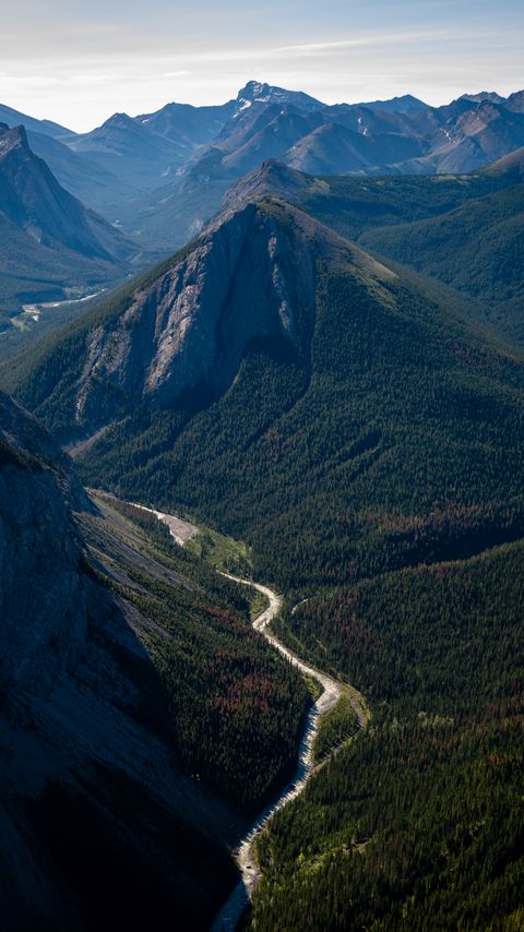 Download wallpaper 2160x3840 mountains, forest, trail, trees, nature samsung galaxy s4, s5, note, sony xperia z, z1, z2, z3, htc one, lenovo vibe hd background