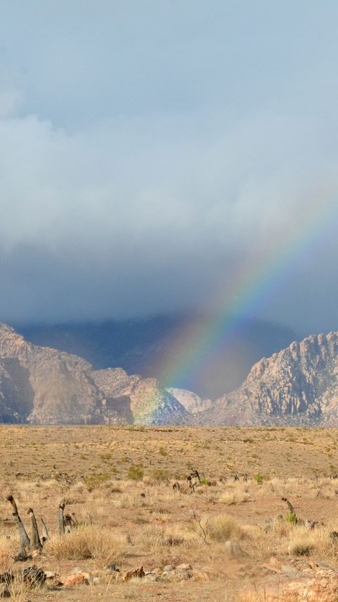 Download wallpaper 2160x3840 mountains, rainbow, field, landscape samsung galaxy s4, s5, note, sony xperia z, z1, z2, z3, htc one, lenovo vibe hd background