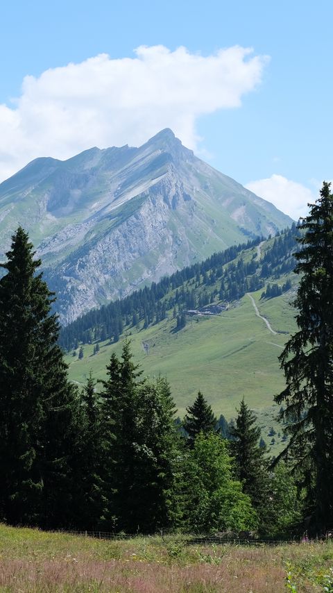 Download wallpaper 2160x3840 mountains, slope, trees, nature samsung galaxy s4, s5, note, sony xperia z, z1, z2, z3, htc one, lenovo vibe hd background