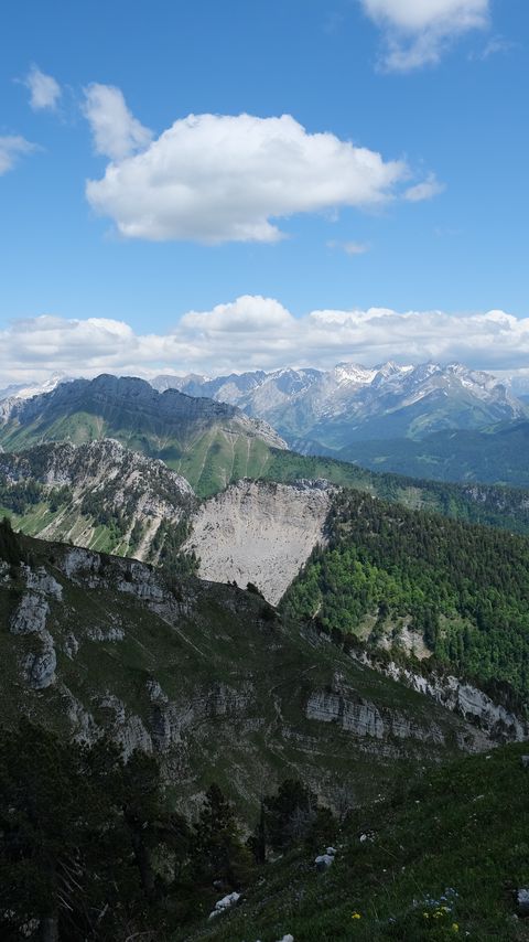 Download wallpaper 2160x3840 mountains, slopes, trees, nature samsung galaxy s4, s5, note, sony xperia z, z1, z2, z3, htc one, lenovo vibe hd background