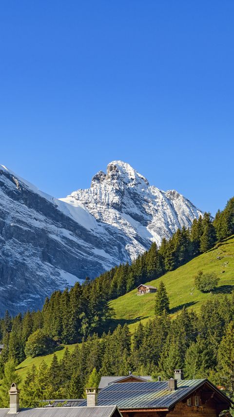 Download wallpaper 2160x3840 mountains, snow, slope, trees, house, nature samsung galaxy s4, s5, note, sony xperia z, z1, z2, z3, htc one, lenovo vibe hd background