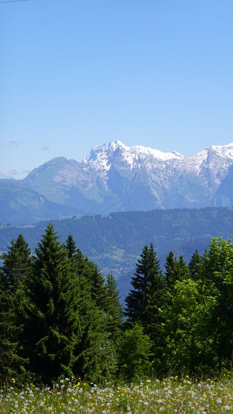 Download wallpaper 2160x3840 mountains, snow, trees, flowers samsung galaxy s4, s5, note, sony xperia z, z1, z2, z3, htc one, lenovo vibe hd background