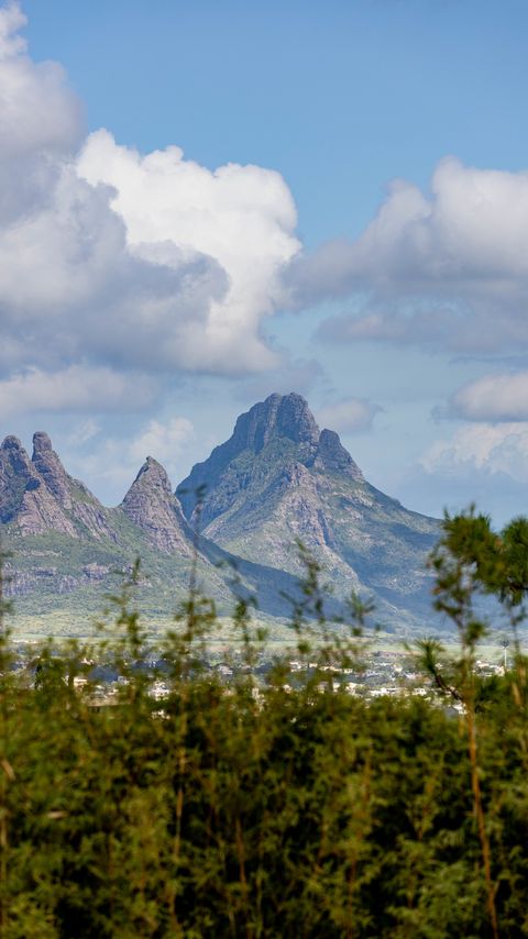 Download wallpaper 2160x3840 mountains, trees, branches, nature samsung galaxy s4, s5, note, sony xperia z, z1, z2, z3, htc one, lenovo vibe hd background