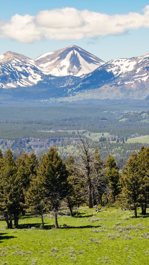 Download wallpaper 2160x3840 mountains, valley, forest, trees, snow samsung galaxy s4, s5, note, sony xperia z, z1, z2, z3, htc one, lenovo vibe hd background
