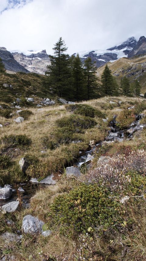Download wallpaper 2160x3840 mountains, valley, trees, stones, nature samsung galaxy s4, s5, note, sony xperia z, z1, z2, z3, htc one, lenovo vibe hd background
