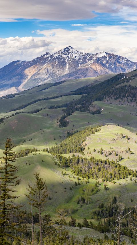 Download wallpaper 2160x3840 mountains, valley, trees, relief samsung galaxy s4, s5, note, sony xperia z, z1, z2, z3, htc one, lenovo vibe hd background