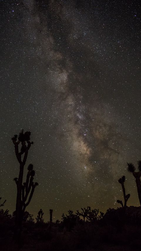 Download wallpaper 2160x3840 nebula, starry sky, cactuses, silhouettes, dark samsung galaxy s4, s5, note, sony xperia z, z1, z2, z3, htc one, lenovo vibe hd background