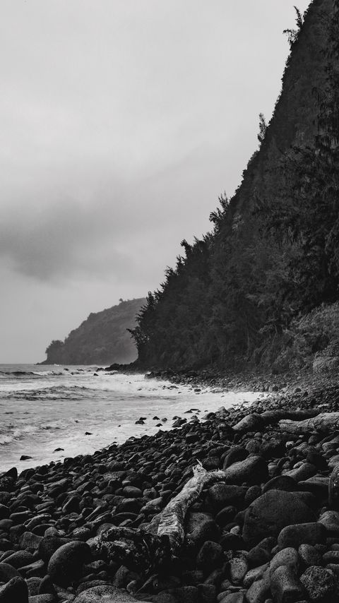 Download wallpaper 2160x3840 ocean, beach, coast, waves, landscape, black and white samsung galaxy s4, s5, note, sony xperia z, z1, z2, z3, htc one, lenovo vibe hd background