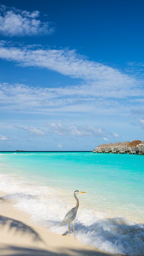 Download wallpaper 2160x3840 ocean, bird, shore, bungalow, tropics samsung galaxy s4, s5, note, sony xperia z, z1, z2, z3, htc one, lenovo vibe hd background