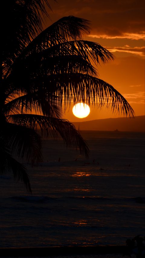 Download wallpaper 2160x3840 palm tree, branches, sea, sunset, dark samsung galaxy s4, s5, note, sony xperia z, z1, z2, z3, htc one, lenovo vibe hd background