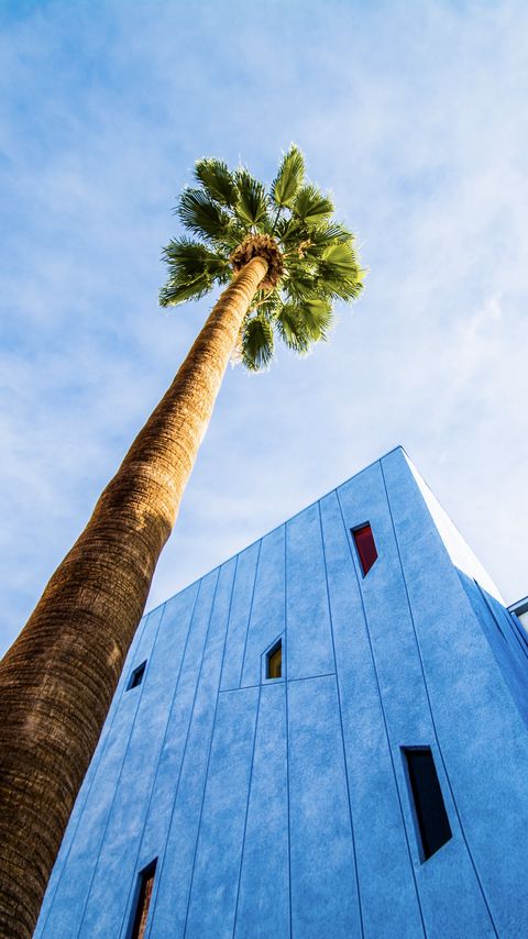 Download wallpaper 2160x3840 palm tree, building, sky samsung galaxy s4, s5, note, sony xperia z, z1, z2, z3, htc one, lenovo vibe hd background
