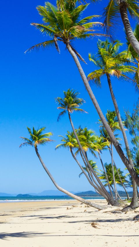 Download wallpaper 2160x3840 palm trees, beach, sand, tropics samsung galaxy s4, s5, note, sony xperia z, z1, z2, z3, htc one, lenovo vibe hd background