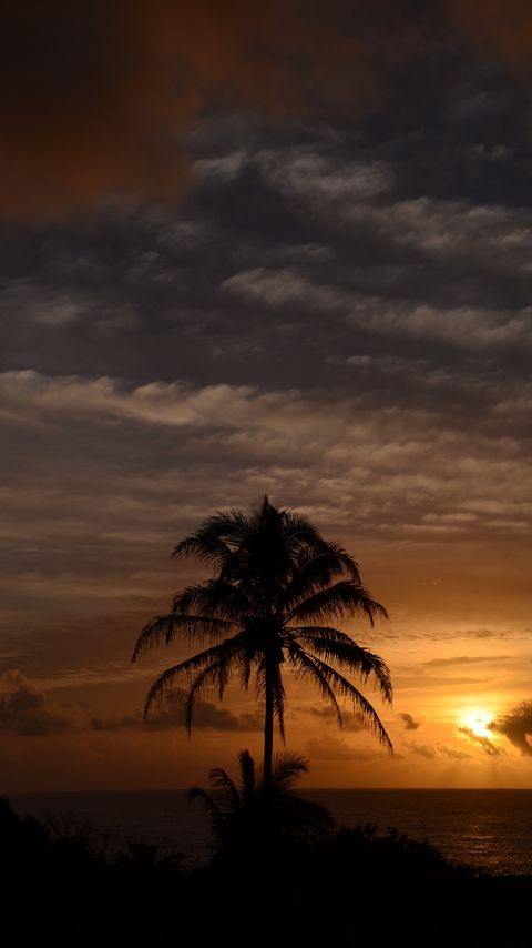 Download wallpaper 2160x3840 palm trees, sea, tropics, twilight, dark samsung galaxy s4, s5, note, sony xperia z, z1, z2, z3, htc one, lenovo vibe hd background
