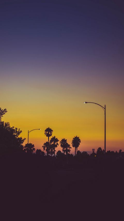 Download wallpaper 2160x3840 palms, silhouettes, twilight samsung galaxy s4, s5, note, sony xperia z, z1, z2, z3, htc one, lenovo vibe hd background